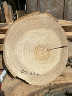 Eucalyptus
